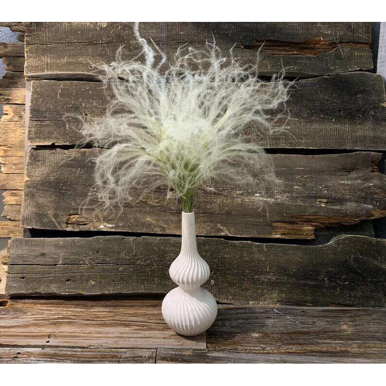 羽毛草梦幻草 婚庆配材天然植物永生保鲜花漂色保鲜花配材
