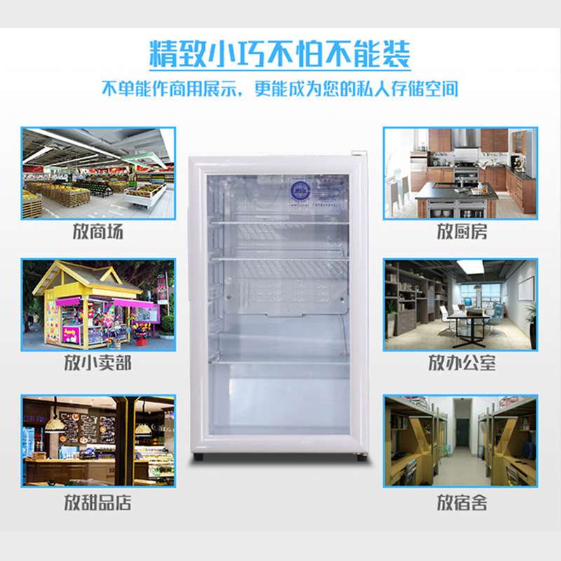 穗凌LG4-120 家用冷藏小冰箱立式玻璃门保鲜冰柜冰吧食品留样柜