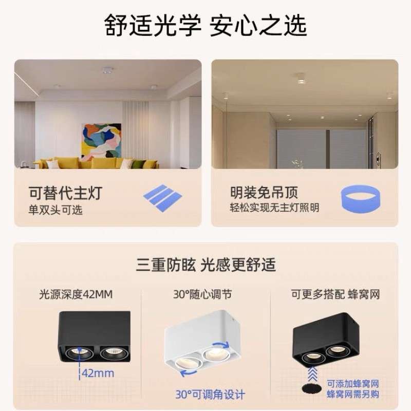 明装双头LED豆胆射灯全铝全光谱筒灯可调角度客厅卧室智能斗胆灯