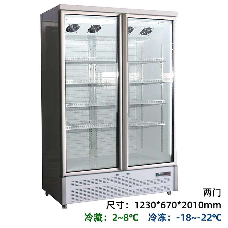 菲诗玛冷冻展示柜立式酒吧冷藏展示冰冻超市冷柜冰啤酒柜风冷冰箱