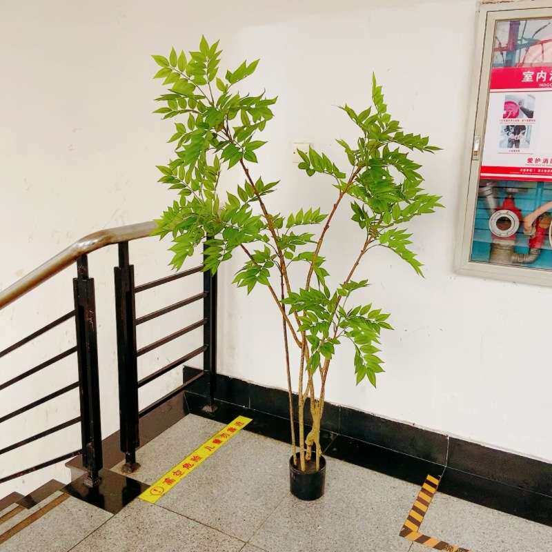 仿真香椿树 大型落地装饰绿植盆栽 室内家居摆件假树橱窗植物盆景