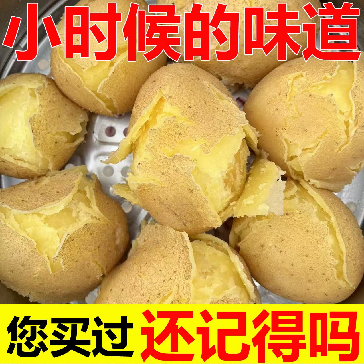 【黄皮黄心】甘肃定西土豆沙面粉糯洋芋马铃薯新鲜应季净重2026年