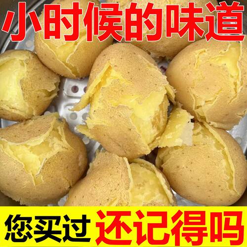 【黄皮黄心】甘肃定西土豆沙面粉糯洋芋马铃薯新鲜应季净重2026年