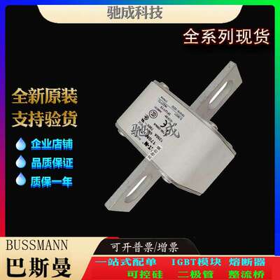 巴斯曼170M6717 170M6718 170M6719 厂家直供 价优 快速保险丝