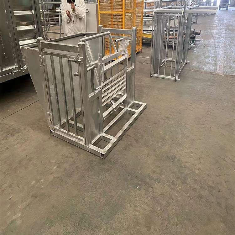 工厂直供热镀锌羊固定翻转架羊保定架防疫架修剪羊蹄羊毛保定架