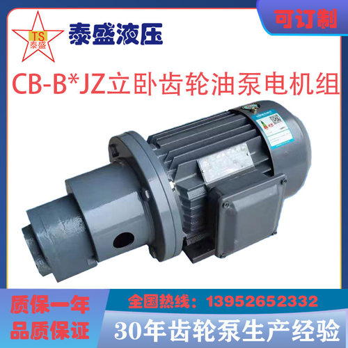 CB-B16/B20/B25/B32JZ齿轮油泵电机组LWBZ-16/25/32/20立卧式泵组