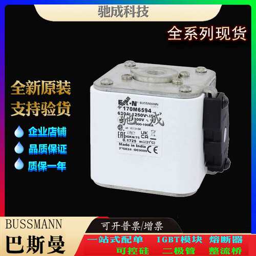 巴斯曼170M6595 170M6596 170M6597 大量现货厂价销售 快熔保险丝