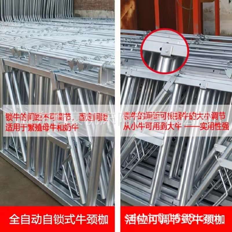 牛颈枷热镀锌方管牛栏6米8位自锁式单开牛颈夹友发钢管牛颈枷