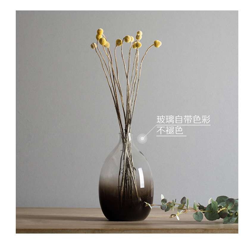 新款 手工吹制大肚子玻璃花瓶 玻璃淡彩渐变透明水培 创意细口插