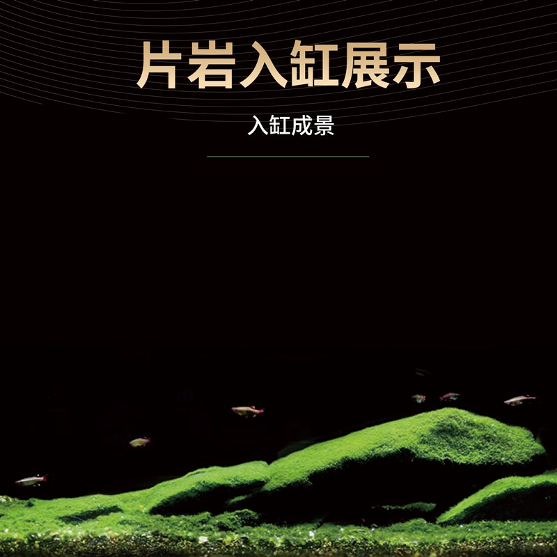 天然片岩鱼缸造景溪流石 页岩石 片岩石 晟景牌鱼缸底溪流沙包邮