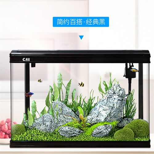 鱼缸客厅家用懒人免换水生态金鱼缸大型玻璃落地长方形水族箱新款