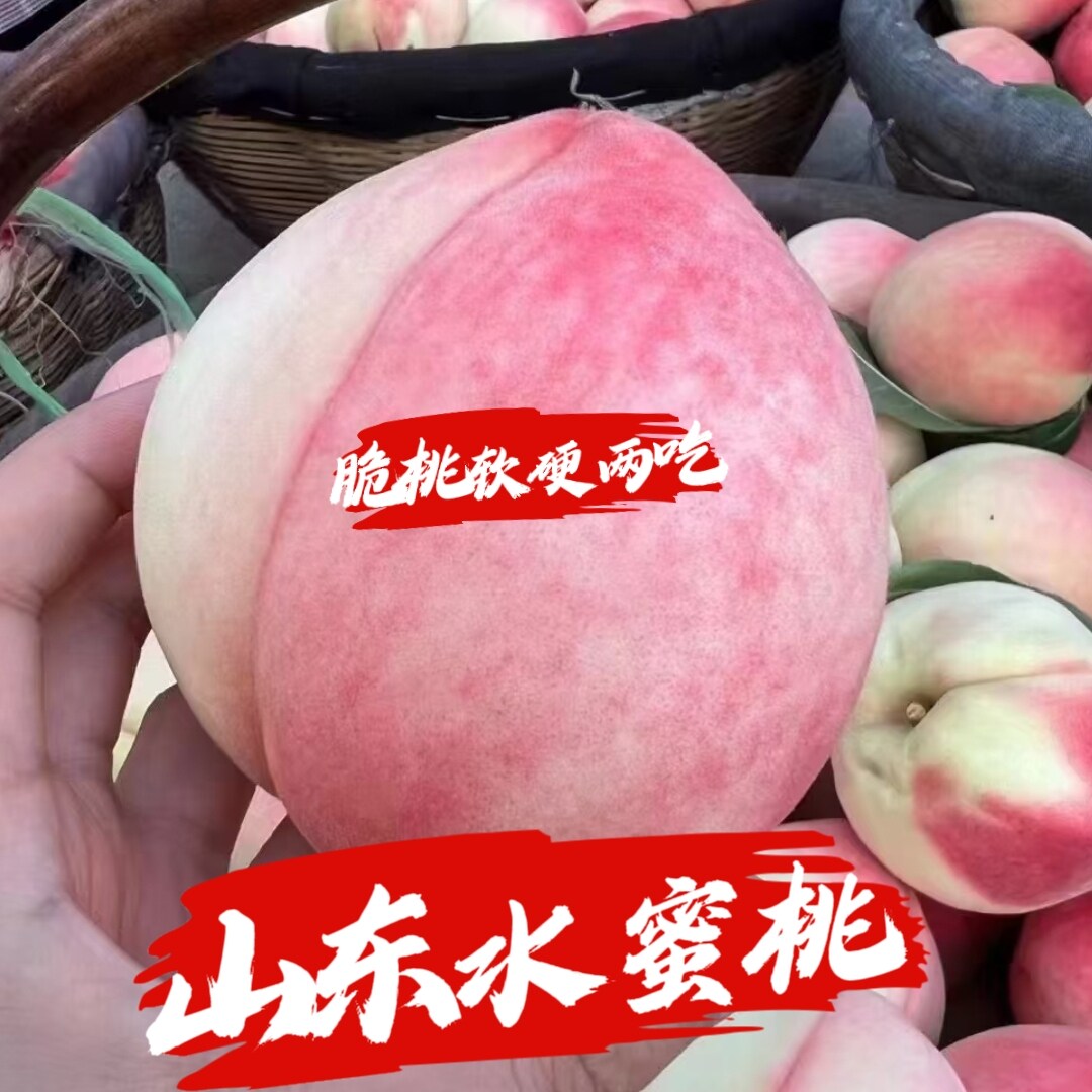 突围水蜜桃脆甜现摘大果