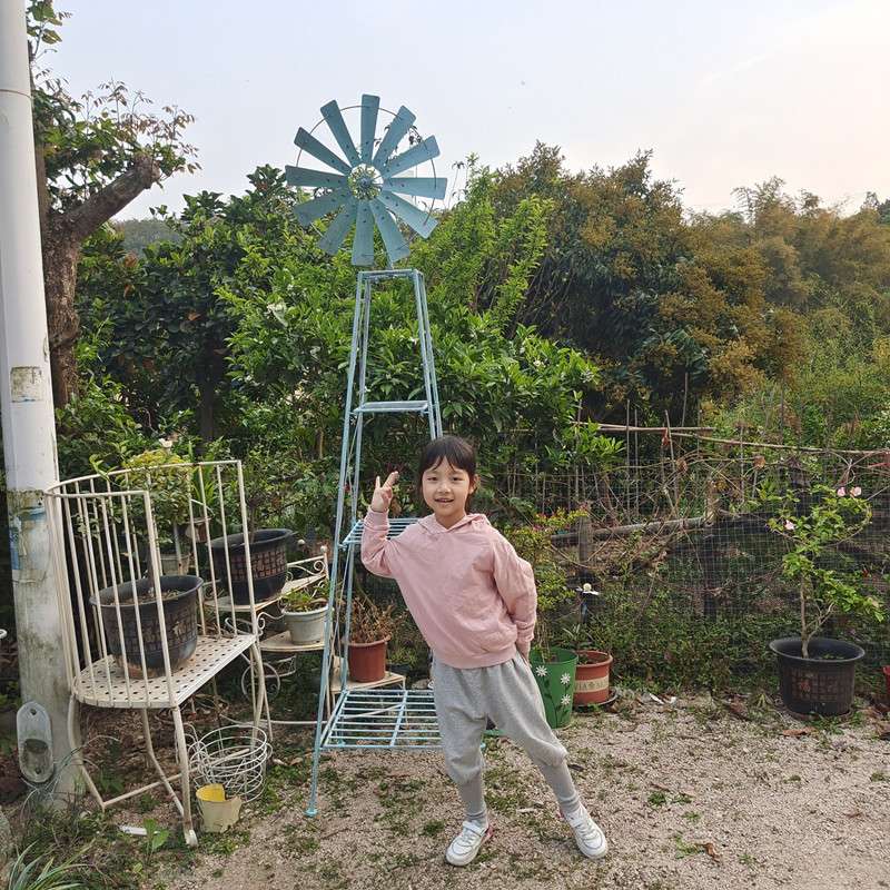 铁艺风车落地式花架花园庭院装饰置物层架铁线莲攀爬藤架一件