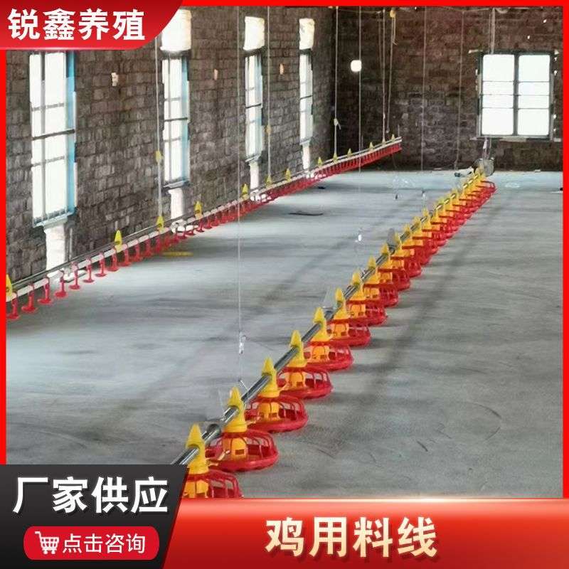 养鸡设备鸡用料线鸡用料盘肉鸡料线种鸡筒式计量同步喂料鸡用料线