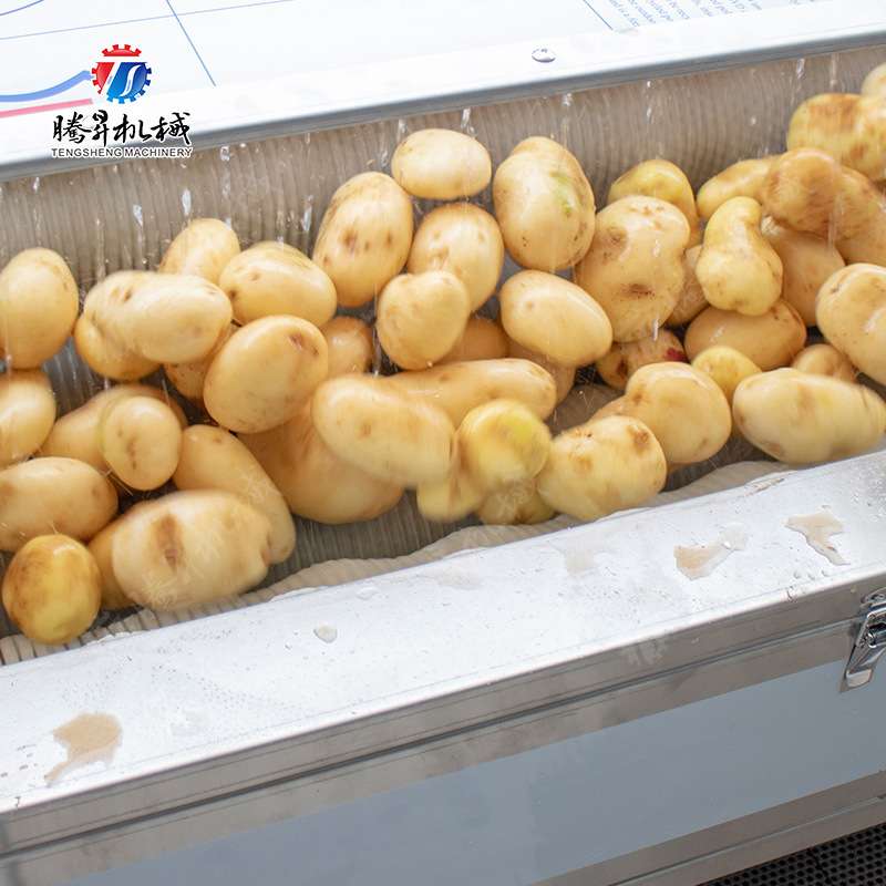 厂家直销金铁锁脱皮机器自动出料 不锈钢毛辊式独丁子脱皮机