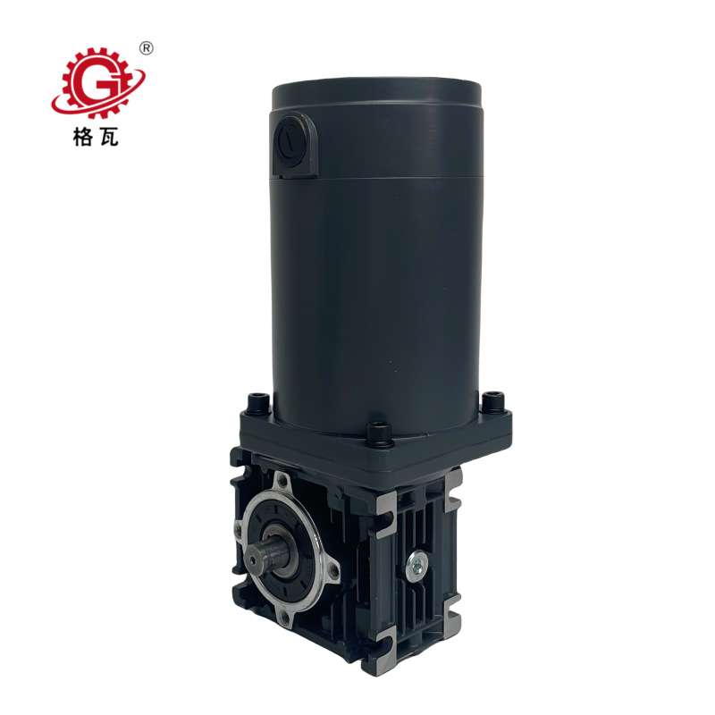 格瓦低噪音减速电机实验室均质仪器高压220V直流电机蜗轮减速机