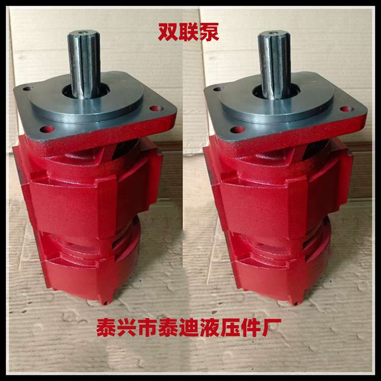 CBZ2050/2050双联齿轮油泵 重科20吨吊车液压泵 浦沅吊车双联泵