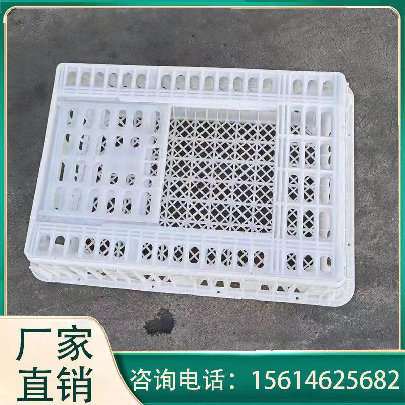 鸡筐塑料鸡筐加厚耐摔鸡鸭运输笼直销鸡运输笼商品鸡周转笼