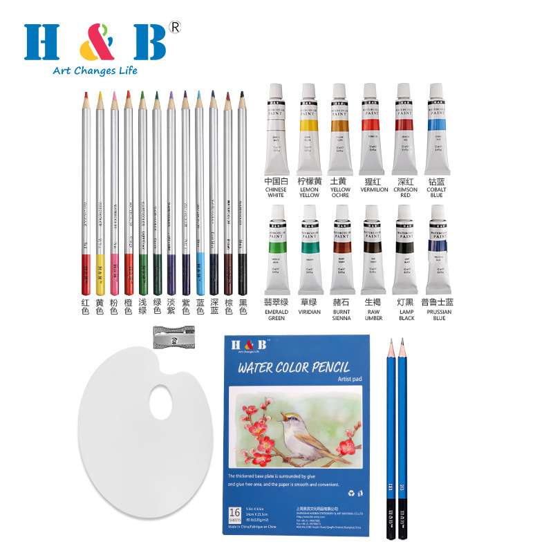 H&B31件水彩颜料套装12色水溶性彩铅笔绘画铅笔 定 制亚马逊