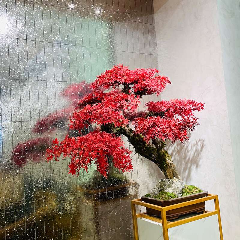 仿真松树新中式红色迎客松假树植物摆件客厅玄关装饰红枫绿植造景