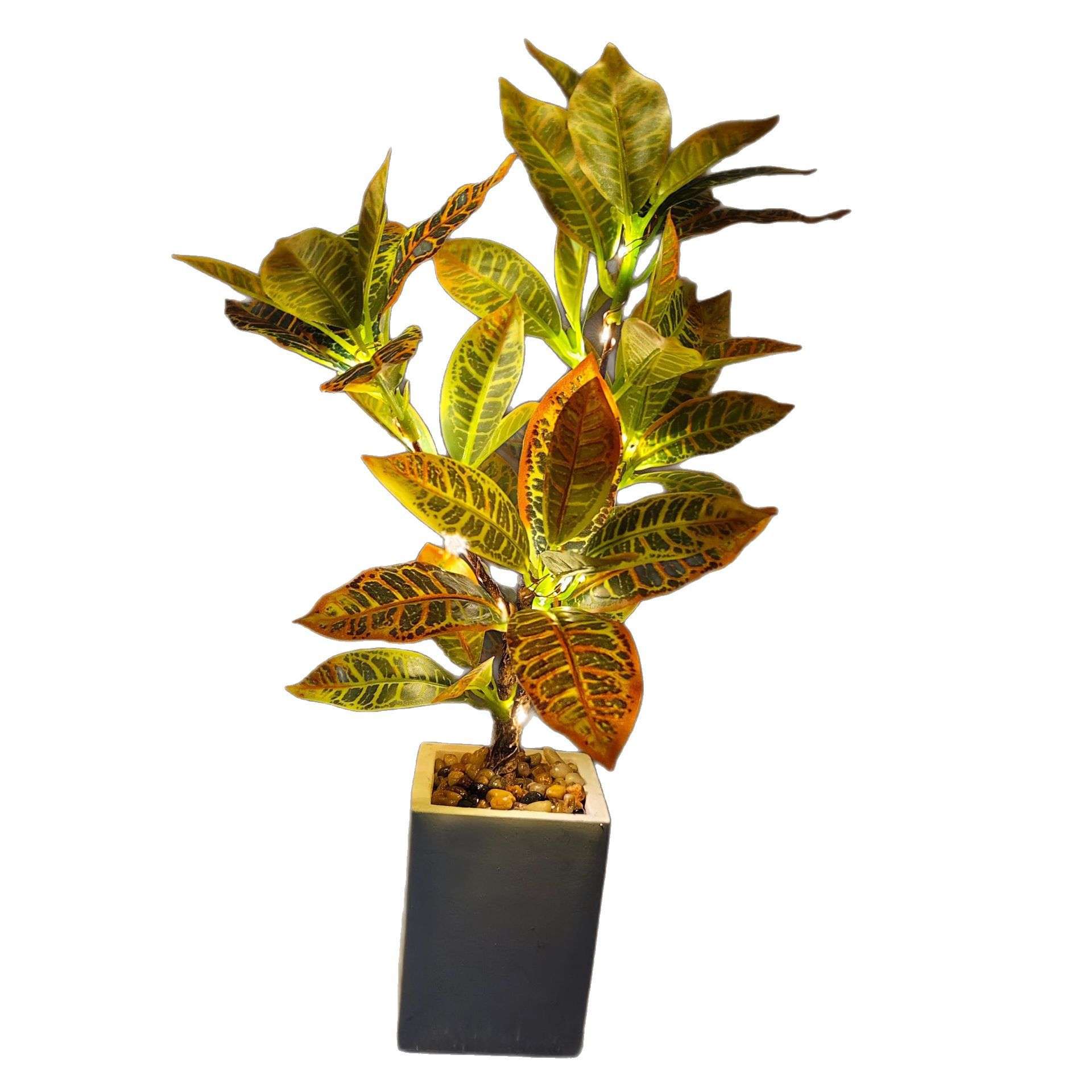 绿植变色木洒金榕叶灰莉叶家居园林工程装饰树叶摆件花盆仿真绿植