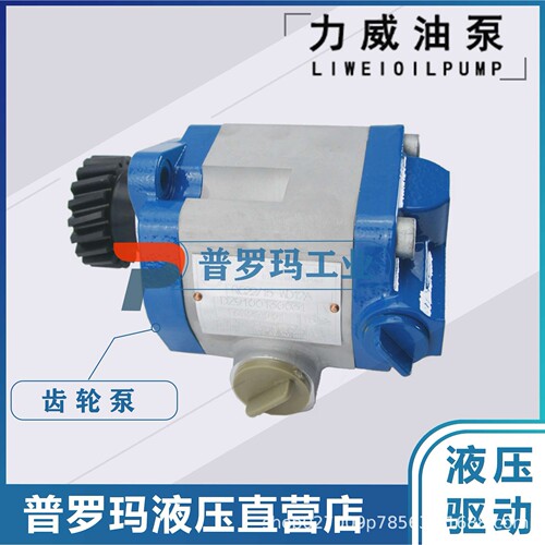 1032300027 中联重科ZOOMLION合肥力威液压助力油泵QC25/13-WP-PY
