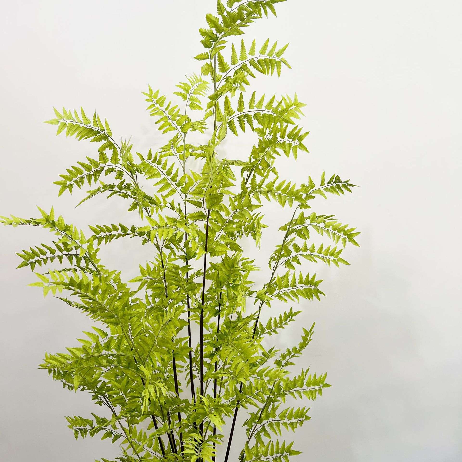 绿植羊齿蕨落地盆栽室内大型仿真植物摆件客厅蕨类植物工程造景