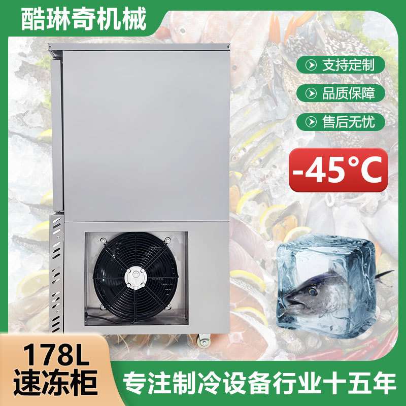 商用冷冻柜冰箱立式冰柜零下45度急冻低温速冻柜急速降温保鲜口味