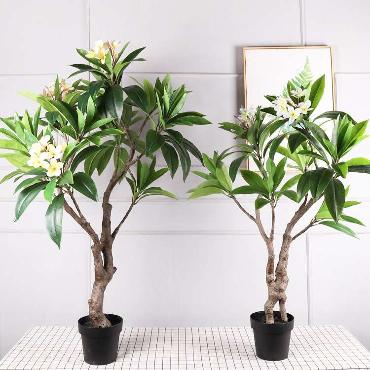 北欧仿真鸡蛋花树 摆件装饰仿真树盆栽 大型绿植仿真植物鸡蛋花树