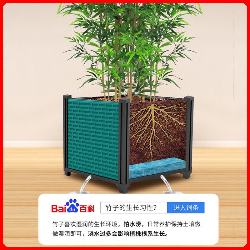 竹子花盆专用月季发财树金钱树栽果树大号栽树花箱种植箱户外种菜