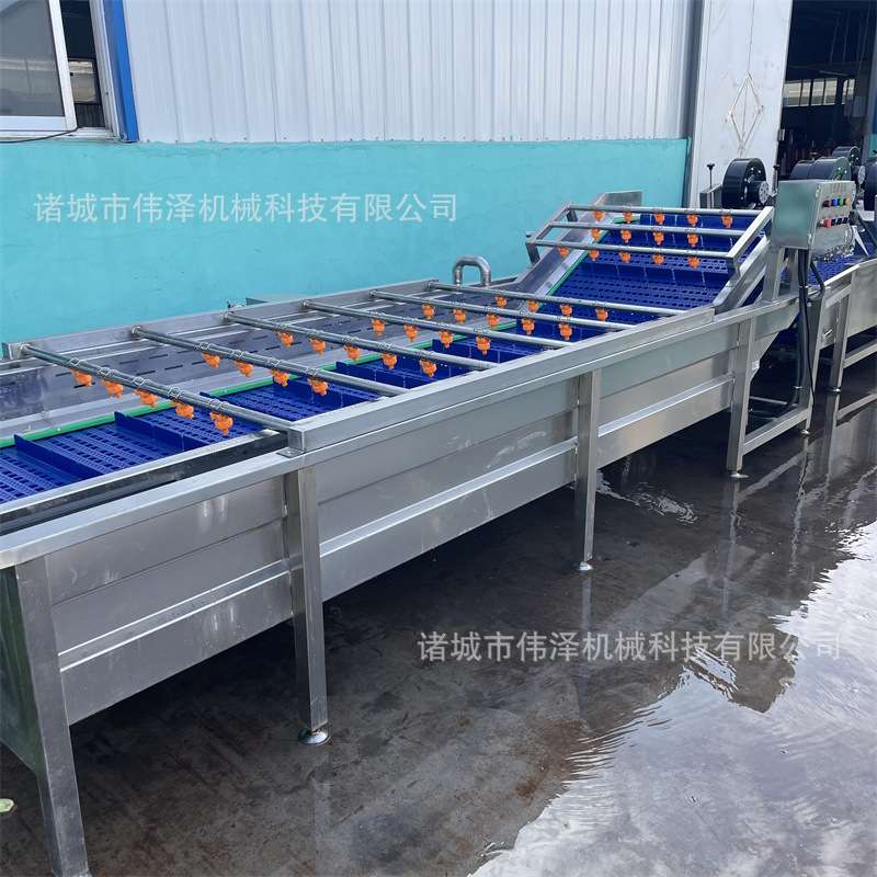 西红柿番茄气泡清洗机 圣女果清洗设备 千禧果洗果机厂家
