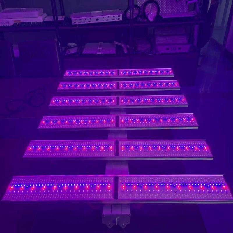 植物灯全光谱室内家用蔬菜水果花草种植科研培育补光灯生长灯750W