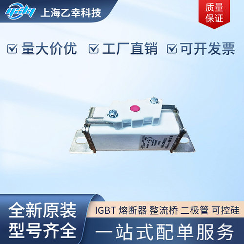 巴斯曼熔断器170M2030170M2031170M2032170M2033170M2035