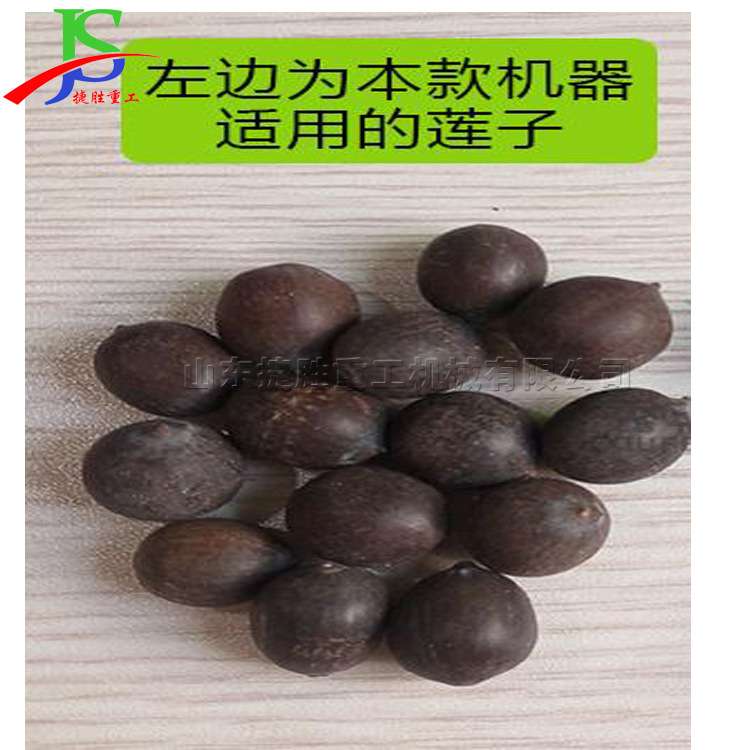 煲粥用青莲子脱皮成套设备 农用莲蓬脱粒机 立式莲子脱皮脱壳机