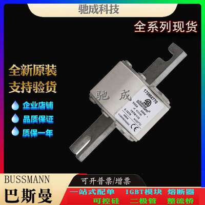 巴斯曼170M4834 170M4835 170M4770 现货供应厂价直供 低压保险丝