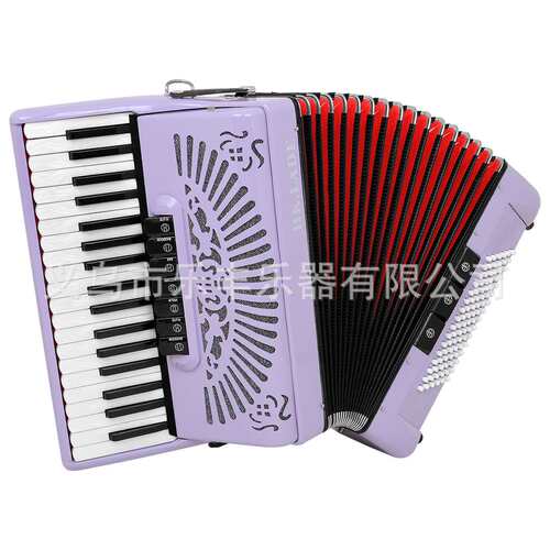 HK·LADE 37键96贝斯键盘变音专业手风琴成人练习乐器支持跨境