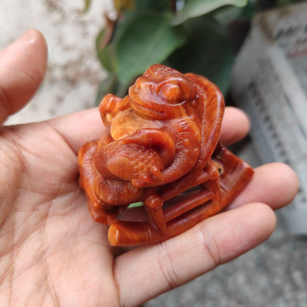 太行崖柏陈化料木雕高油密精修癞蛤蟆梦想成真摆件文玩家居装饰品