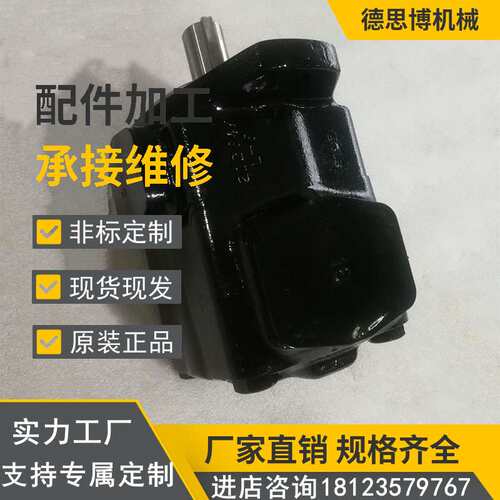 压铸机叶片泵PVV2-1X/045RA15DMB矿山机械油泵PVV2-1X/055RA15DMB