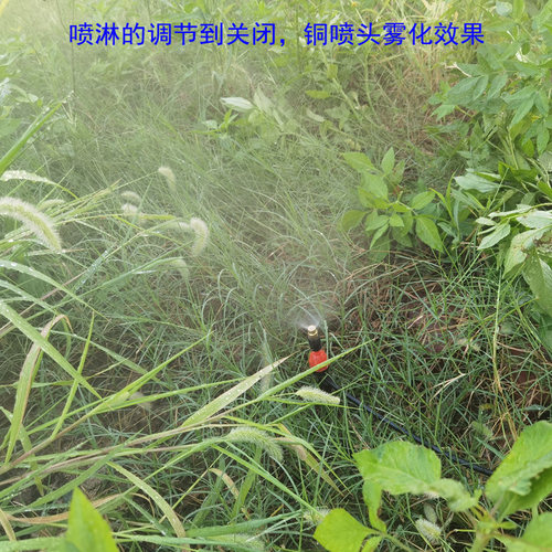 自动浇花器浇水神器定时智能灌溉控制器滴灌微喷雾化喷雾地插喷头