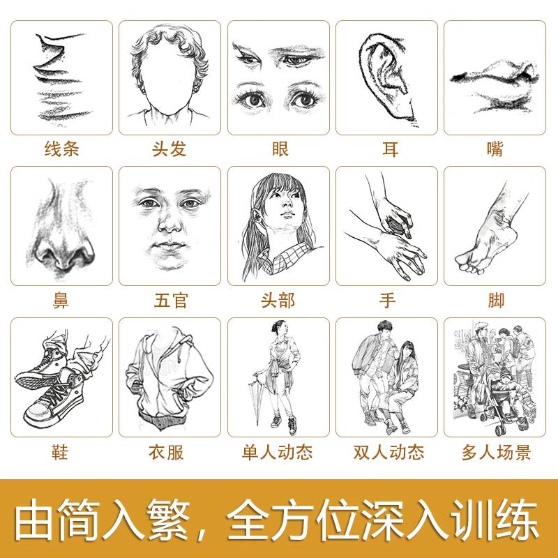 超级速写描摹本艺考人物素描练习绘画临摹 人体结构局部动态场景