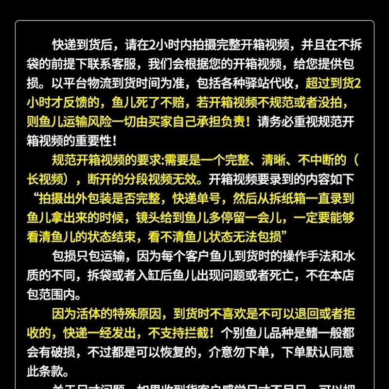 南美亚马孙红文鱼活热带鱼淡水凶猛宠物观赏鱼幼苗肉食性猛鱼包活