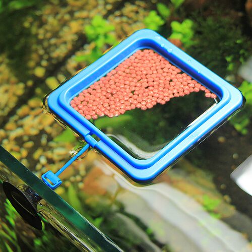 鱼缸喂食圈投食器水族箱智能投食圈悬浮式喂食器自动喂鱼器浮力