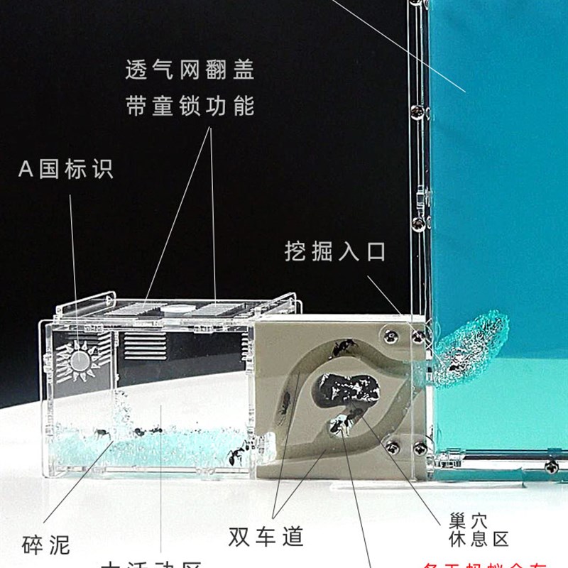 PK版蚂蚁工坊 新对战版蚂蚁城堡宠物蚁巢庄园家园王国窝送2群蚁后
