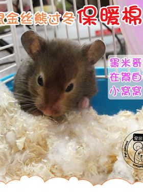 仓鼠保暖长绒脱脂棉花球棉被窝 金丝熊冬天保温御寒用品二送一