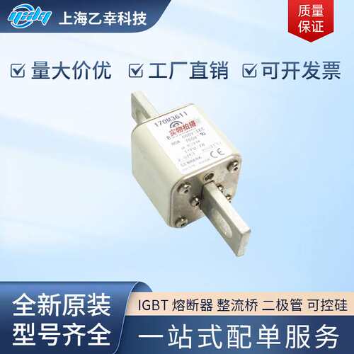 巴斯曼熔断器 170M4159 170M4160 170M4161 170M4162 170M4163