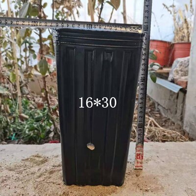 脐橙育苗杯柑橘杯细长形加厚加高黑色一次性营养钵营养杯沃甘提根