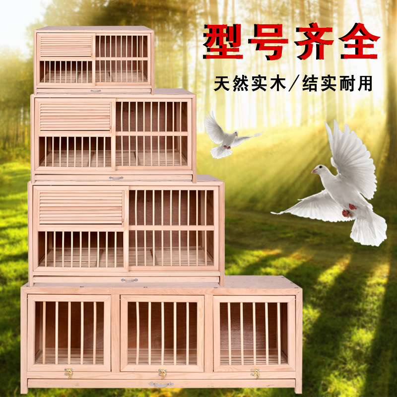 鸽具信鸽巢箱配对笼赛鸽巢鸽子配对笼巢箱实木鸽子笼包邮鸟笼打笼