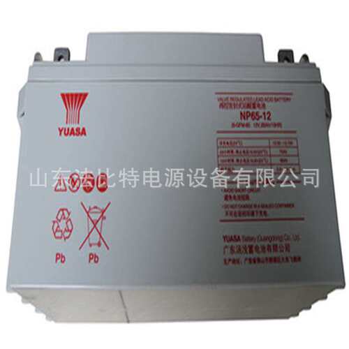 汤浅蓄电池NP100-12应急电源12V100AH后备电源/汤浅电池NP100-12