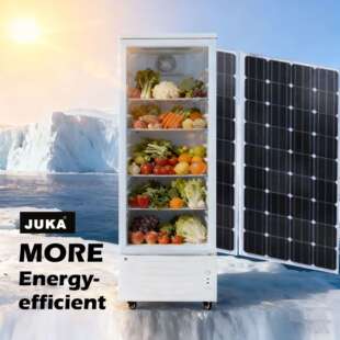 太阳能直立式冷藏冰柜直流电12v24v商用家用展示柜出口 外贸