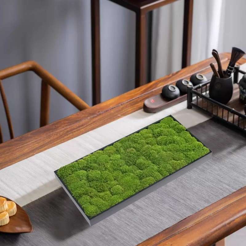 中式永生植物青苔长方形花器书房茶室禅意微景观创意盆栽桌面摆件